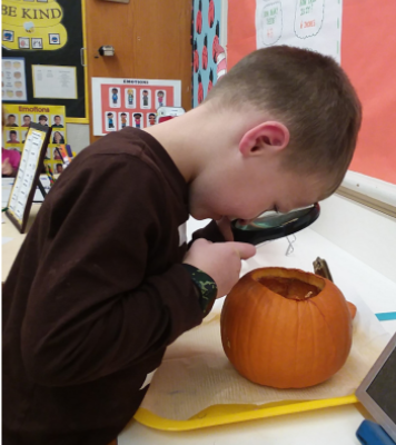 Boy looking at inside of pumpkin with magnifying glass 